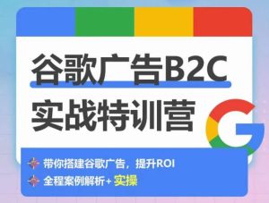 谷歌广告B2C实战特训营,500+谷歌账户总结经验,实战演示如何从0-1搭建广告账户-网赚资源网