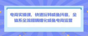 电商实操课，快速玩转咸鱼抖音，全体系全流程精细化咸鱼电商运营-网赚资源网
