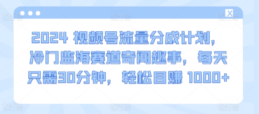 2024视频号流量分成计划，冷门监海赛道奇闻趣事，每天只需30分钟，轻松目赚 1000+【揭秘】 - 网赚资源网-网赚资源网
