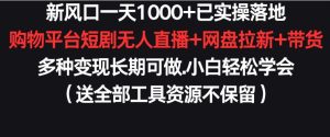 新风口一天1000+已实操落地购物平台短剧无人直播+网盘拉新+带货多种变现长期可做【揭秘】-网赚资源网
