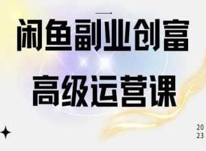闲鱼电商运营高级课程,一部手机学会闲鱼开店赚钱-网赚资源网