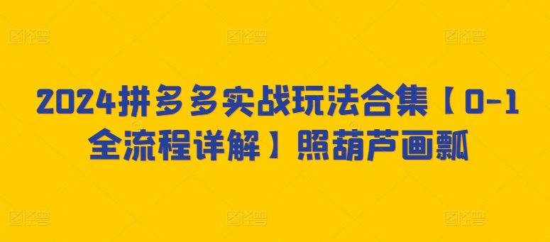 2024拼多多实战玩法合集【0-1全流程详解】照葫芦画瓢 - 网赚资源网-网赚资源网