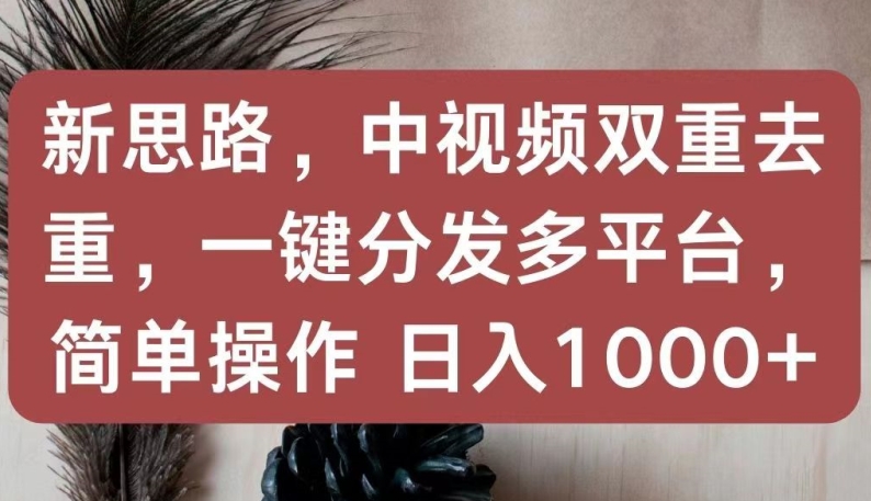 新思路，中视频双重去重，一键分发多平台，简单操作，日入1000+【揭秘】 - 网赚资源网-网赚资源网