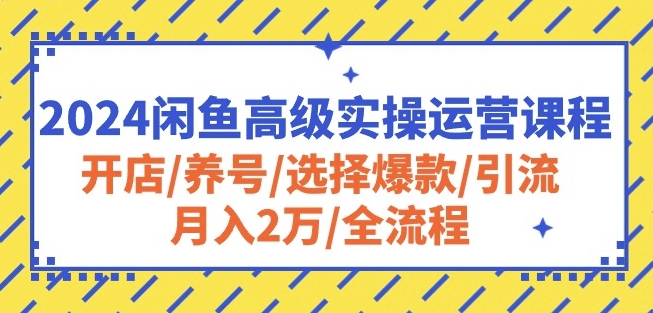 2024闲鱼高级实操运营课程：开店/养号/选择爆款/引流/月入2万/全流程 - 网赚资源网-网赚资源网