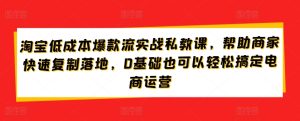 淘宝低成本爆款流实战私教课，帮助商家快速复制落地，0基础也可以轻松搞定电商运营-网赚资源网