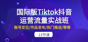 国际版Tiktok抖音运营流量实战班:账号定位/作品发布/热门推送/等等-13节-网赚资源网