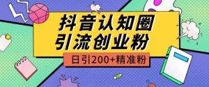 外面收费3980抖音认知圈引流创业粉玩法日引200+精准粉【揭秘】-网赚资源网