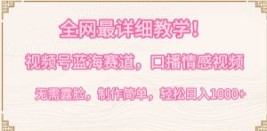 全网最详细教学，视频号蓝海赛道，口播情感视频，无需露脸，制作简单，轻松实现日入1000+【揭秘】-网赚资源网