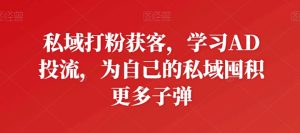 私域打粉获客,学习AD投流,为自己的私域囤积更多子弹-网赚资源网