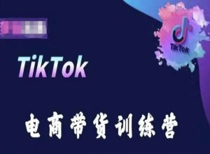 TikTok电商带货训练营,跟随时代潮流,跨境掘金-网赚资源网