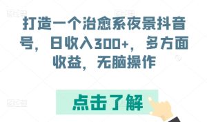 打造一个治愈系夜景抖音号,日收入300+,多方面收益,无脑操作【揭秘】-网赚资源网