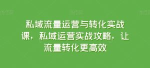 私域流量运营与转化实战课，私域运营实战攻略，让流量转化更高效-网赚资源网