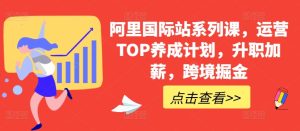 阿里国际站系列课,运营TOP养成计划,升职加薪,跨境掘金-网赚资源网
