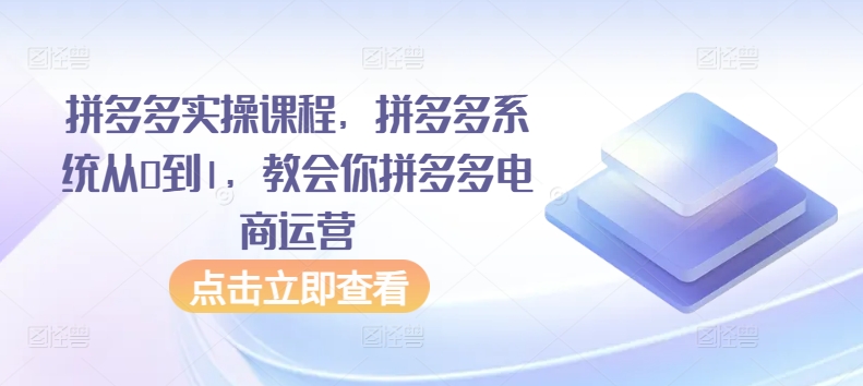 拼多多实操课程，拼多多系统从0到1，教会你拼多多电商运营 - 网赚资源网-网赚资源网