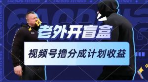 老外开盲盒视频，撸视频号分成计划收益，每天只需一小时，新手小白轻松上手【揭秘】 - 网赚资源网-网赚资源网
