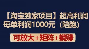 【淘宝独家项目】超高利润：每单利润1000元【揭秘】-网赚资源网