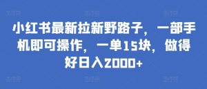小红书最新拉新野路子，一部手机即可操作，一单15块，做得好日入2000+【揭秘】-网赚资源网