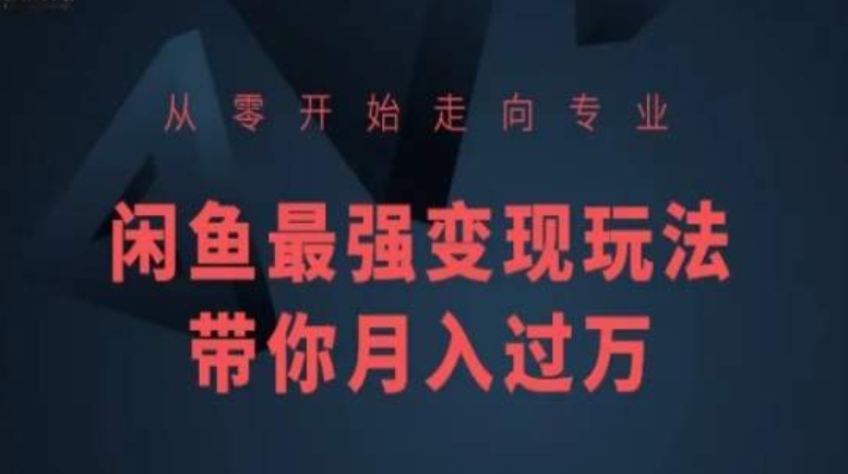 从零开始走向专业，闲鱼最强变现玩法带你月入过万 - 网赚资源网-网赚资源网