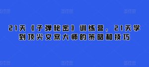 21天《子弹秘密》训练营,21天学到顶尖文案大师的策略和技巧-网赚资源网