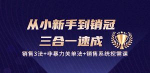 从小新手到销冠 三合一速成：销售3法+非暴力关单法+销售系统挖需课 (27节)-网赚资源网