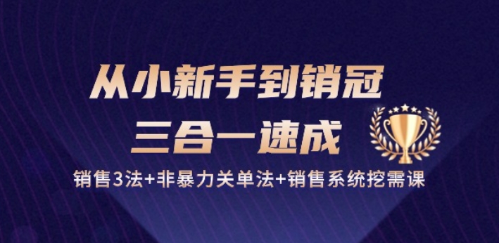 从小新手到销冠 三合一速成：销售3法+非暴力关单法+销售系统挖需课 (27节) - 网赚资源网-网赚资源网