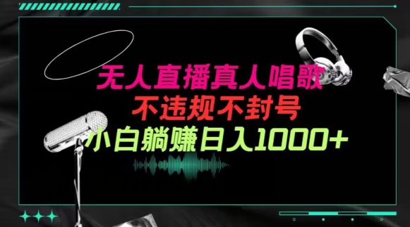 抖音24小时无人直播音乐，不违规，不封号纯撸音浪，小白实操当天日入1000+【揭秘】 - 网赚资源网-网赚资源网