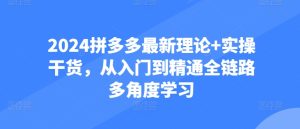 2024拼多多最新理论+实操干货,从入门到精通全链路多角度学习-网赚资源网