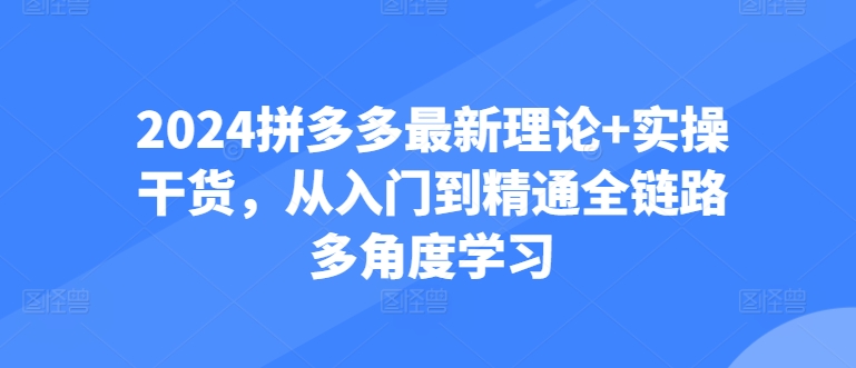 2024拼多多最新理论+实操干货，从入门到精通全链路多角度学习 - 网赚资源网-网赚资源网