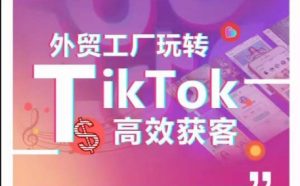 外贸工厂玩转TikTok高效获客，多种引流方式与账号定位技巧，拆解爆款短视频打造成功案例-网赚资源网