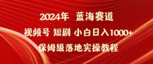 2024年视频号短剧新玩法小白日入1000+保姆级落地实操教程【揭秘】-网赚资源网
