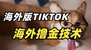 抖音海外版tiktok撸金技术，这个风口行业，赚钱真的不难【揭秘】-网赚资源网