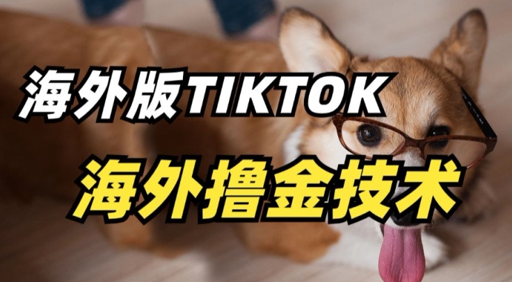 抖音海外版tiktok撸金技术，这个风口行业，赚钱真的不难【揭秘】 - 网赚资源网-网赚资源网