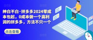 拼多多2024零成本包起，0成本做一个高利润的拼多多，方法不只一个-网赚资源网