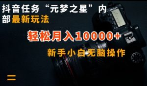 抖音任务“元梦之星”内部最新玩法，新手小白无脑操作，轻松月入10000+【揭秘】-网赚资源网