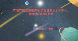 哔哩哔哩混剪视频引流创业粉日引300+，新手小白轻松上手【揭秘】-网赚资源网