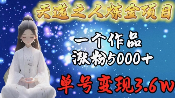 天选之人炼金项目，一个作品涨粉5000+，单号变现3.6w【揭秘】 - 网赚资源网-网赚资源网
