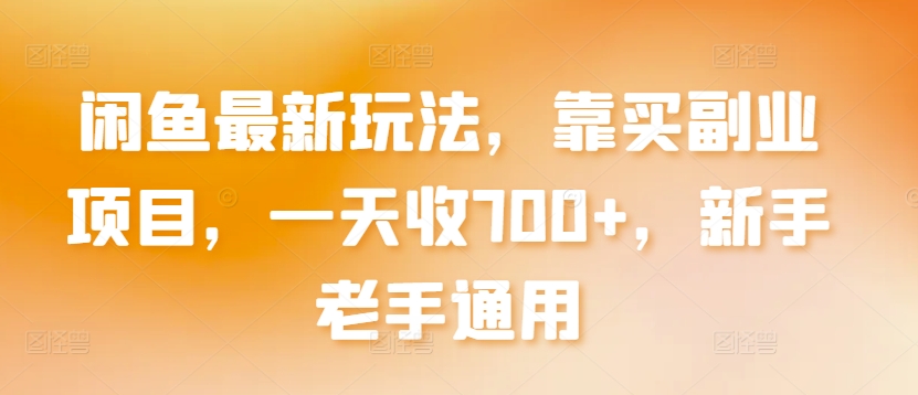 闲鱼最新玩法，靠买副业项目，一天收700+，新手老手通用【揭秘】 - 网赚资源网-网赚资源网