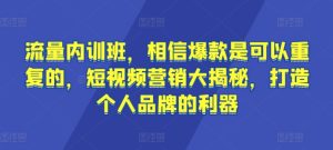 流量内训班,相信爆款是可以重复的,短视频营销大揭秘,打造个人品牌的利器-网赚资源网
