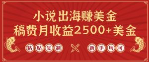 小说出海赚美金,稿费月收益2500+美金,仅需chatgpt粘贴复制,新手也能玩转【揭秘】-网赚资源网