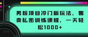 男粉项目冷门新玩法,售卖私密训练课程,一天轻松1000+【揭秘】-网赚资源网
