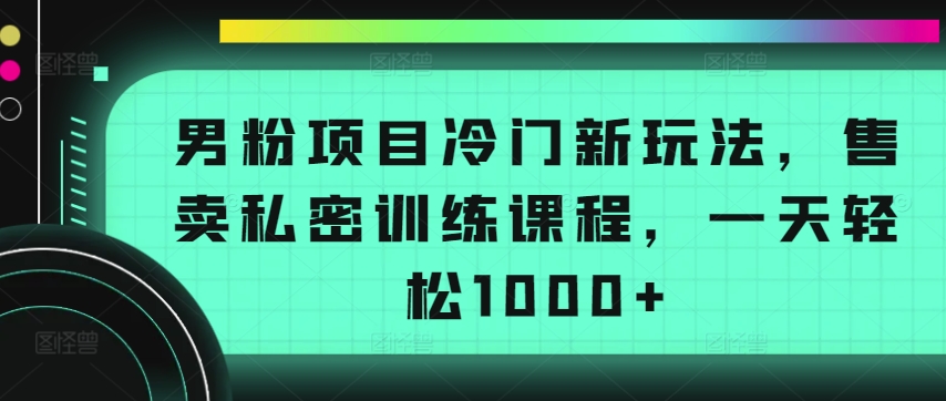 男粉项目冷门新玩法，售卖私密训练课程，一天轻松1000+【揭秘】 - 网赚资源网-网赚资源网