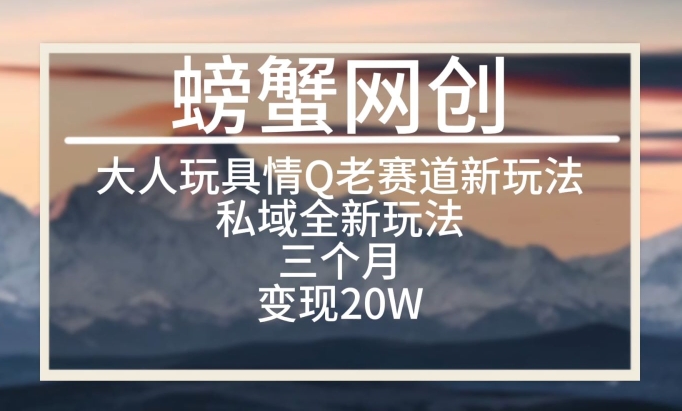 大人玩具情Q用品赛道私域全新玩法，三个月变现20W，老项目新思路【揭秘】 - 网赚资源网-网赚资源网