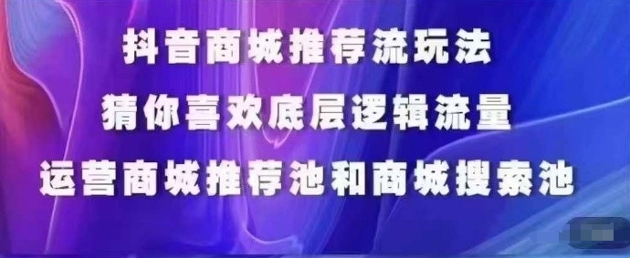 抖音商城运营课程，猜你喜欢入池商城搜索商城推荐人群标签覆盖-网赚资源网