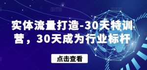 实体流量打造-30天特训营,30天成为行业标杆-网赚资源网