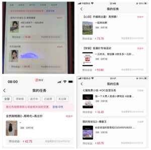 2024年3月最新,快手磁力聚星全流程实操教学,8台手机日均收益稳定100~200元【揭秘】-网赚资源网