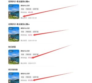 磁力聚星游戏副业陪跑训练营1.0,长期稳定项目,有人一周干了1K+-网赚资源网