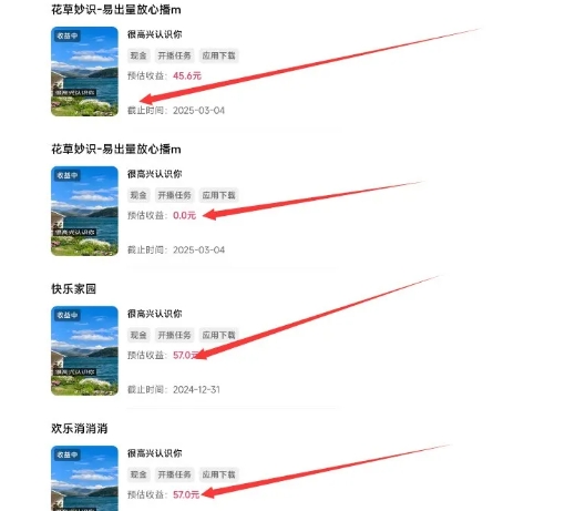 磁力聚星游戏副业陪跑训练营1.0，长期稳定项目，有人一周干了1K+ - 网赚资源网-网赚资源网