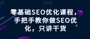 零基础SEO优化课程，手把手教你做SEO优化，只讲干货-网赚资源网