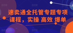 速卖通全托管专题专项课程,实操 高效 爆单-网赚资源网