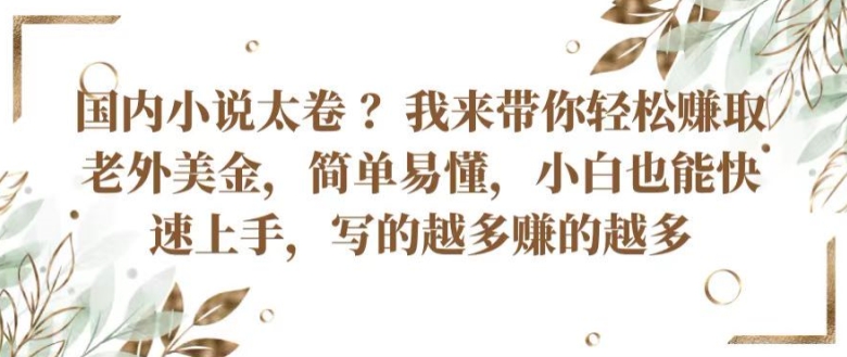 国内小说太卷 ?带你轻松赚取老外美金，简单易懂，小白也能快速上手，写的越多赚的越多【揭秘】 - 网赚资源网-网赚资源网